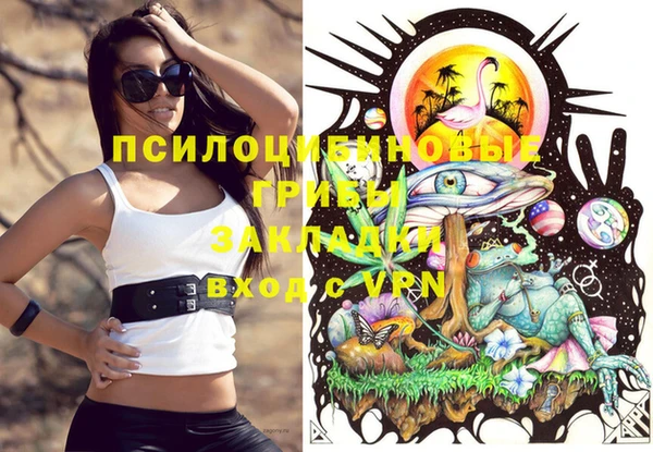 герыч Кулебаки
